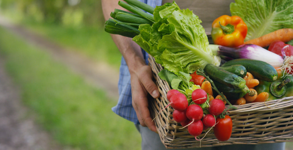 Des perturbateurs endocriniens aussi dans notre alimentation ?